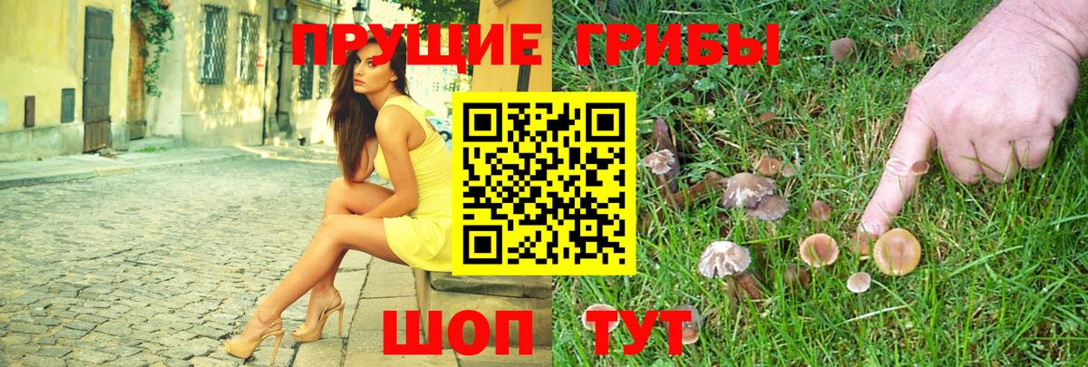 Вязьма  Галлюциногенные грибы Psilocybe  Вход с VPN 